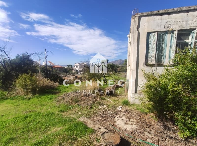 Building Plot in Megala Sxoinia A, Acharnes — Photo 3 of 15