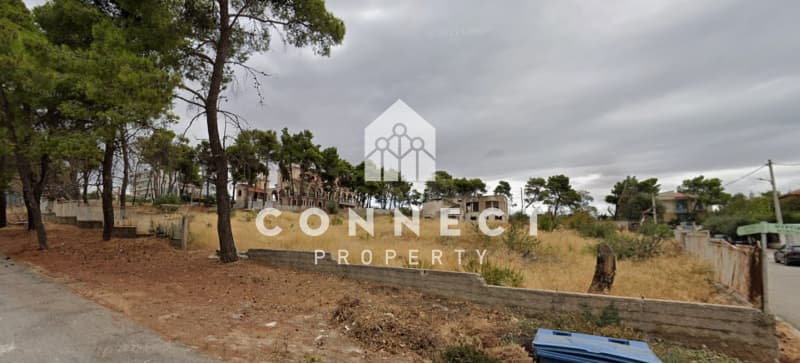 Building Plot in Megala Sxoinia A, Acharnes — Photo 13 of 15