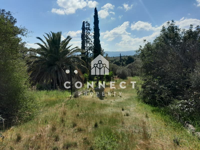 House in Isthmia, Loutraki-Perachora — Photo 19 of 30