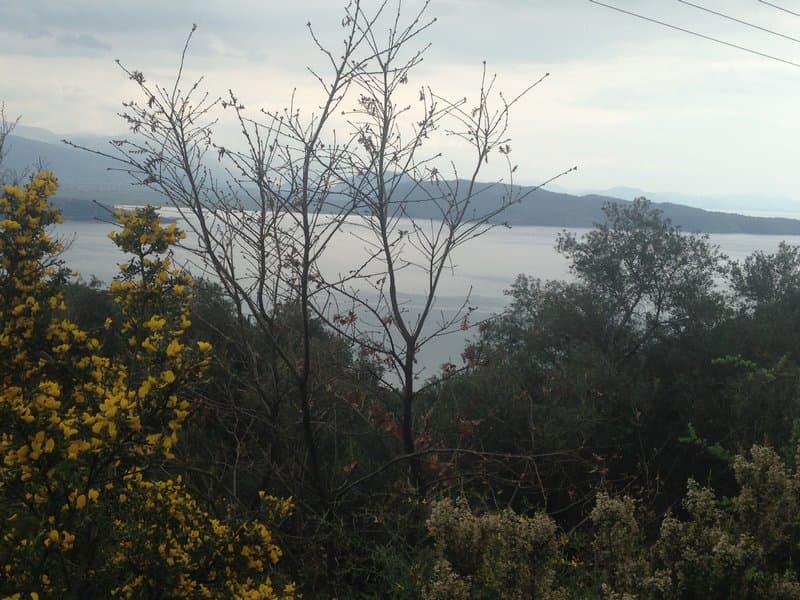 Building Plot in Kassiopi, Corfu — Photo 9 of 28