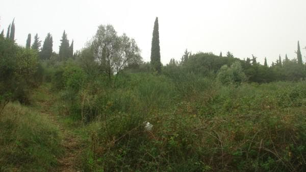 Οικόπεδο στην Φαίακες, Κέρκυρα — Φωτογραφία 3 από 6