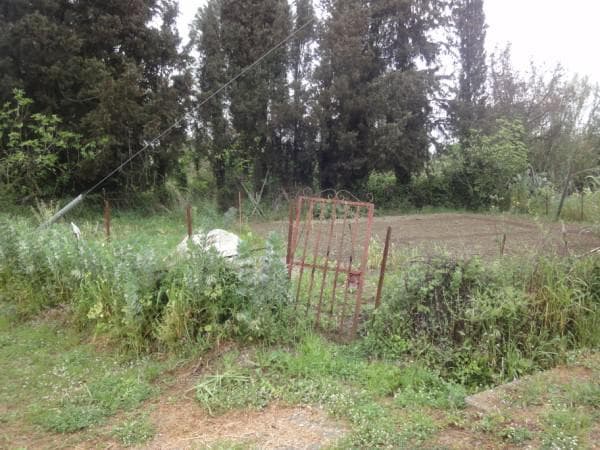 Οικόπεδο στην Παρέλι, Κέρκυρα — Φωτογραφία 2 από 4