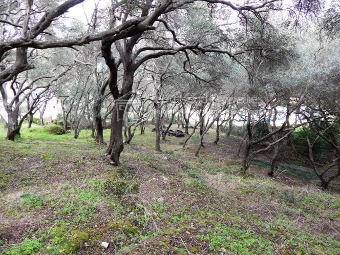 Οικόπεδο στην Βασιλάτικα, Κέρκυρα — Φωτογραφία 25 από 30
