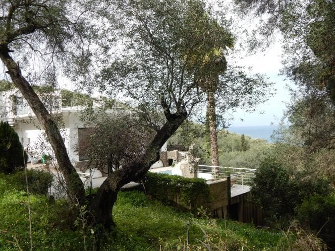 Οικόπεδο στην Βασιλάτικα, Κέρκυρα — Φωτογραφία 20 από 30