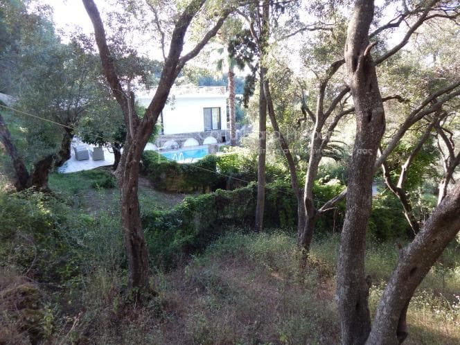 Οικόπεδο στην Βασιλάτικα, Κέρκυρα — Φωτογραφία 23 από 30