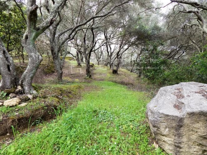 Οικόπεδο στην Βασιλάτικα, Κέρκυρα — Φωτογραφία 15 από 30