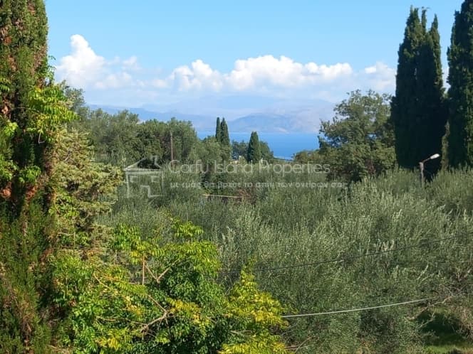 House in Achilleio, Corfu — Photo 3 of 30