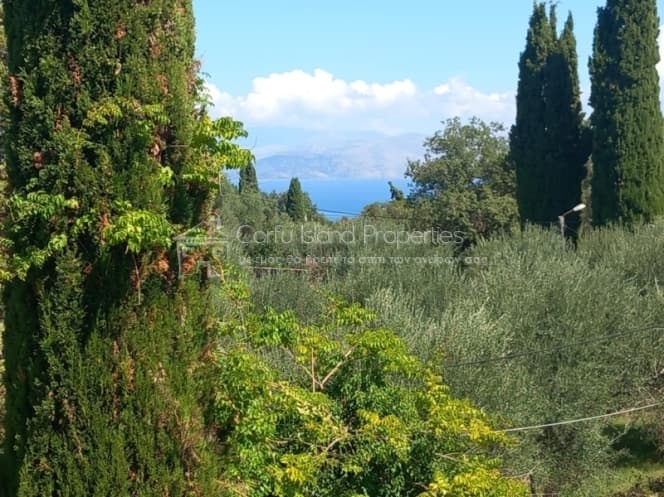 House in Achilleio, Corfu — Photo 20 of 30