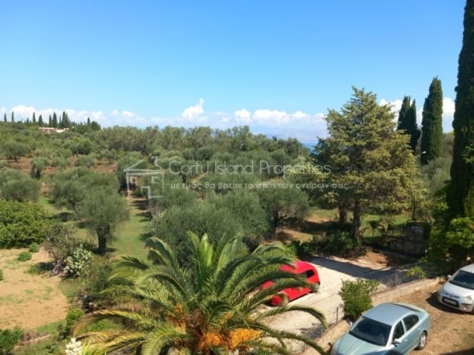 House in Achilleio, Corfu — Photo 2 of 30