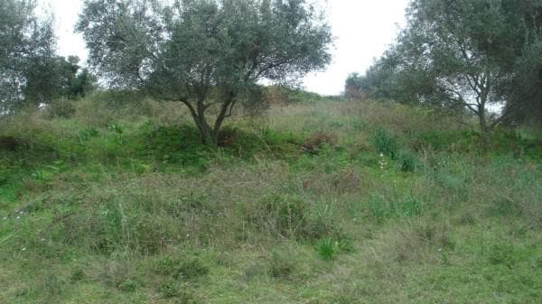 Building Plot in Pareli, Corfu — Photo 22 of 26