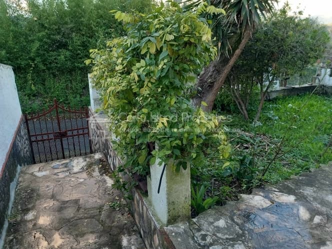 House in Palaiokastritsa, Corfu — Photo 8 of 30