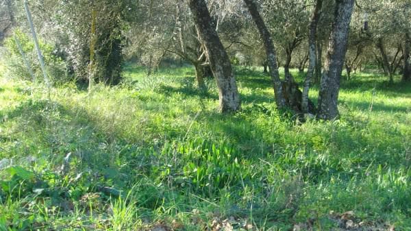 Building Plot in Palaiokastritsa, Corfu — Photo 2 of 5