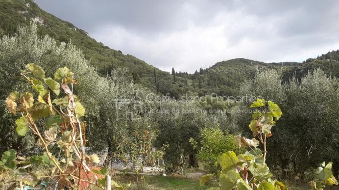 Οικόπεδο στην Αχίλλειο, Κέρκυρα — Φωτογραφία 14 από 26