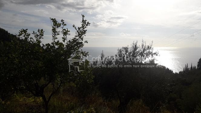 Οικόπεδο στην Αχίλλειο, Κέρκυρα — Φωτογραφία 5 από 26