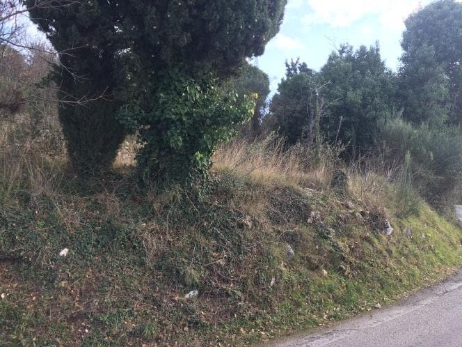 Οικόπεδο στην Κασσιόπη, Κέρκυρα — Φωτογραφία 8 από 30
