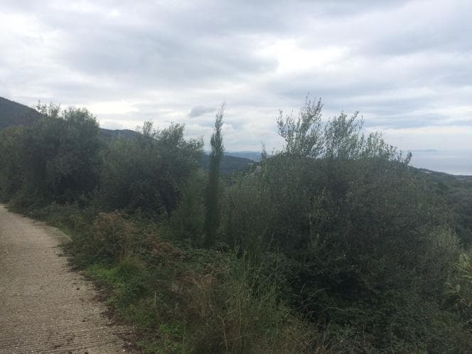 Οικόπεδο στην Κασσιόπη, Κέρκυρα — Φωτογραφία 23 από 30