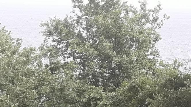 Οικόπεδο στην Αχίλλειο, Κέρκυρα — Φωτογραφία 29 από 30