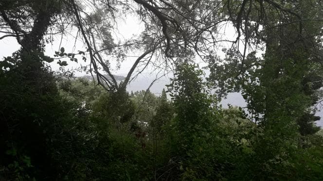 Οικόπεδο στην Αχίλλειο, Κέρκυρα — Φωτογραφία 18 από 30