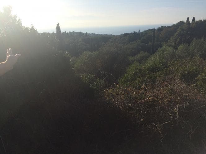 Οικόπεδο στην Παλαιοκαστρίτσα, Κέρκυρα — Φωτογραφία 10 από 29