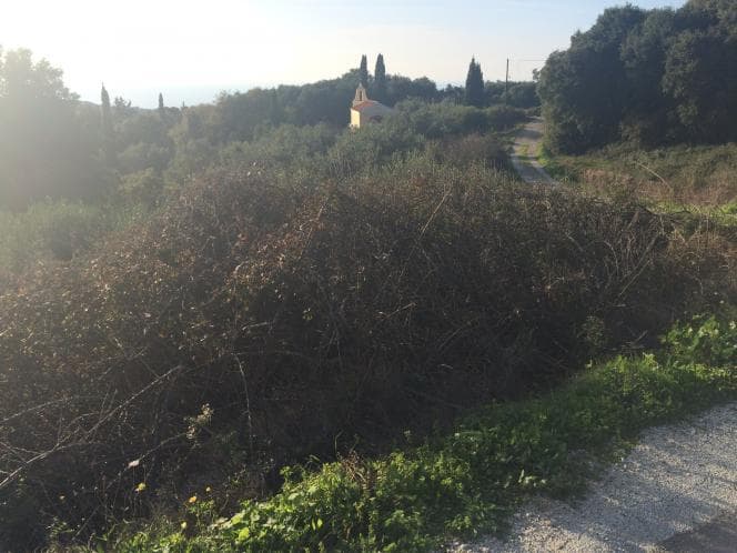 Οικόπεδο στην Παλαιοκαστρίτσα, Κέρκυρα — Φωτογραφία 20 από 29