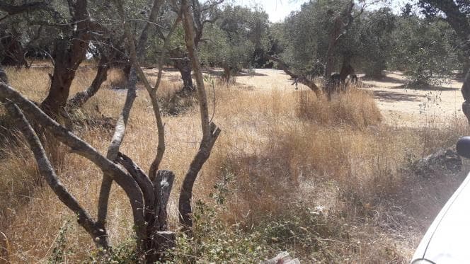 Οικόπεδο στην Βασιλάτικα, Κέρκυρα — Φωτογραφία 1 από 14