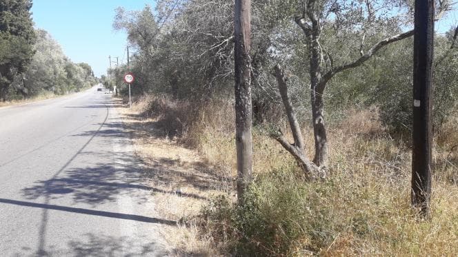 Οικόπεδο στην Βασιλάτικα, Κέρκυρα — Φωτογραφία 9 από 14