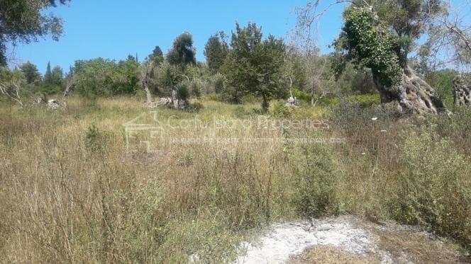 Οικόπεδο στην Παρέλι, Κέρκυρα — Φωτογραφία 5 από 11