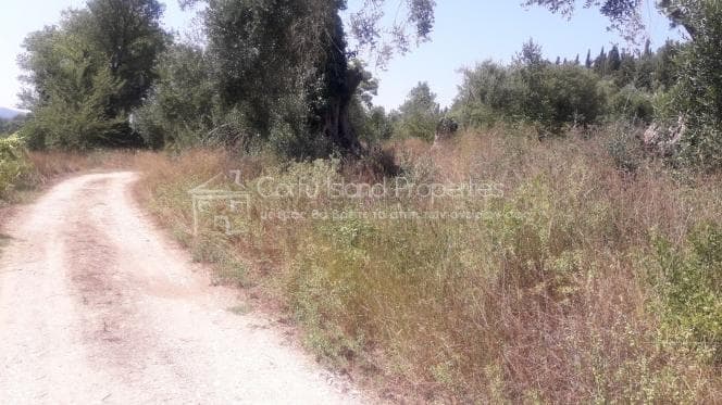 Οικόπεδο στην Παρέλι, Κέρκυρα — Φωτογραφία 3 από 11