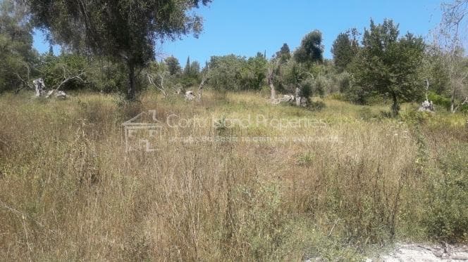 Οικόπεδο στην Παρέλι, Κέρκυρα — Φωτογραφία 1 από 11