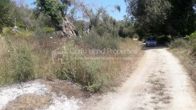 Οικόπεδο στην Παρέλι, Κέρκυρα — Φωτογραφία 2 από 11