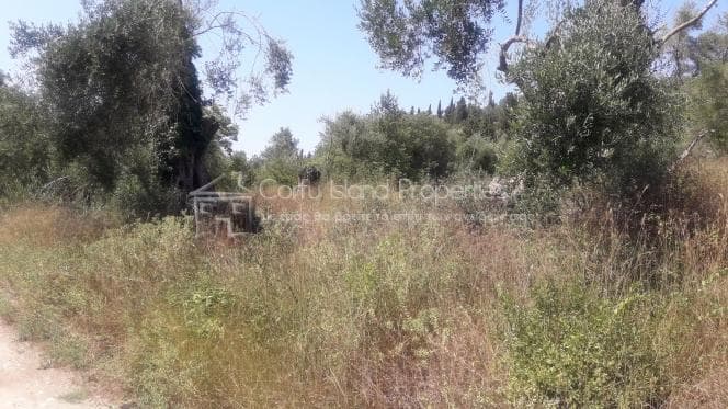 Οικόπεδο στην Παρέλι, Κέρκυρα — Φωτογραφία 4 από 11