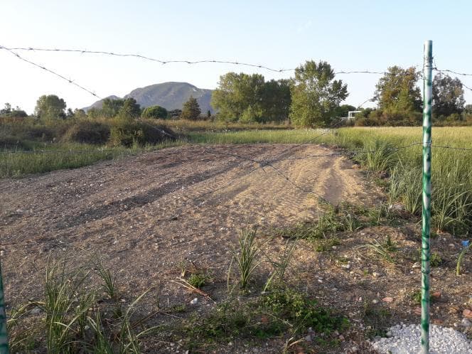 Parcel in Pareli, Corfu — Photo 8 of 17