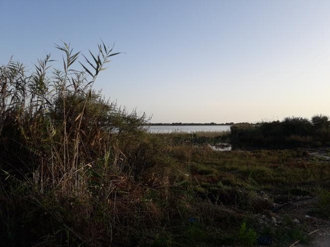 Parcel in Pareli, Corfu — Photo 11 of 17