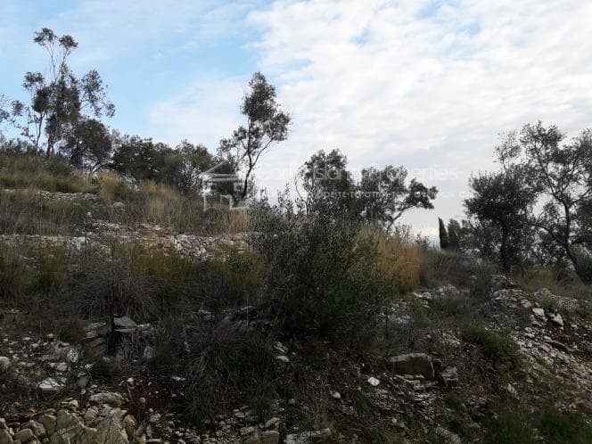 Οικόπεδο στην Φαίακες, Κέρκυρα — Φωτογραφία 26 από 27