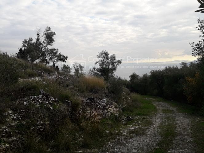 Οικόπεδο στην Φαίακες, Κέρκυρα — Φωτογραφία 11 από 27