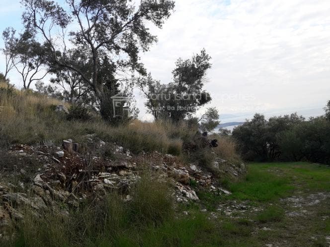 Οικόπεδο στην Φαίακες, Κέρκυρα — Φωτογραφία 23 από 27