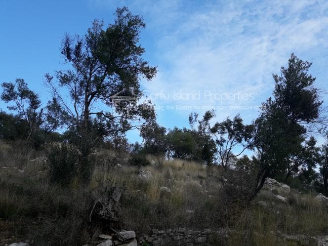 Οικόπεδο στην Φαίακες, Κέρκυρα — Φωτογραφία 22 από 27