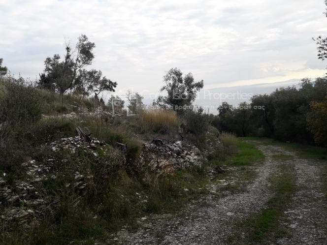 Οικόπεδο στην Φαίακες, Κέρκυρα — Φωτογραφία 17 από 27