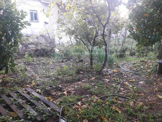 Μονοκατοικία στην Παλαιοκαστρίτσα, Κέρκυρα — Φωτογραφία 15 από 18