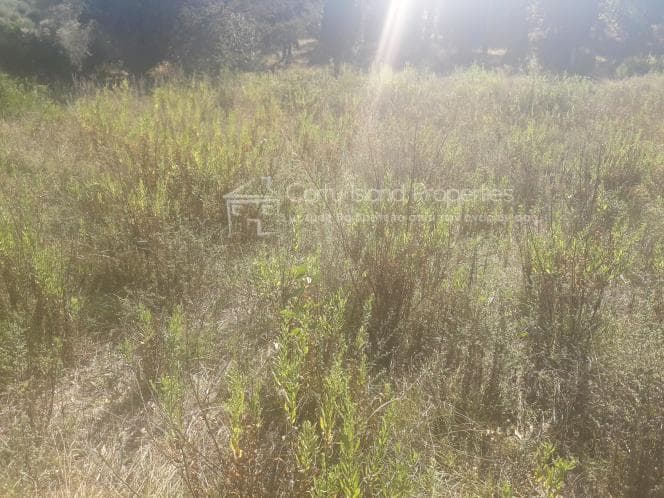 Οικόπεδο στην Μελιτειέοι, Κέρκυρα — Φωτογραφία 19 από 20
