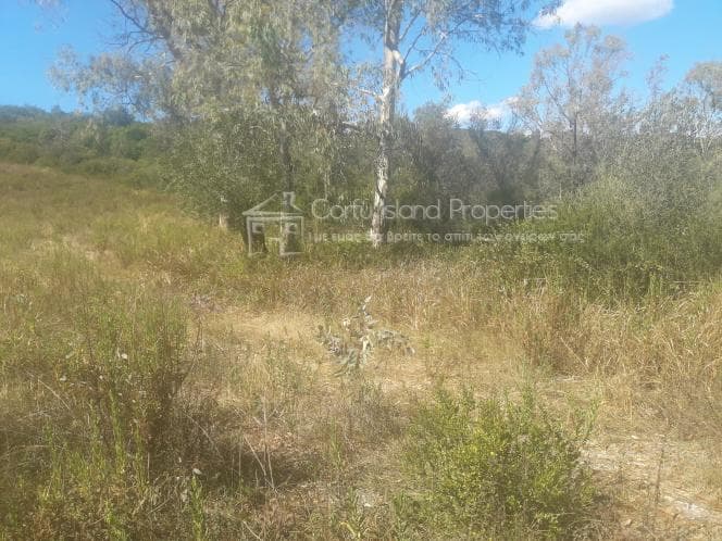 Οικόπεδο στην Μελιτειέοι, Κέρκυρα — Φωτογραφία 5 από 20