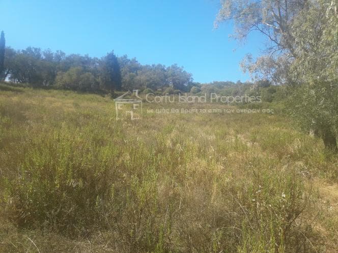 Οικόπεδο στην Μελιτειέοι, Κέρκυρα — Φωτογραφία 11 από 20