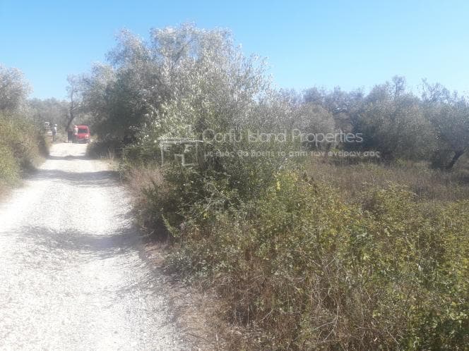 Building Plot in Melitieoi, Corfu — Photo 5 of 13