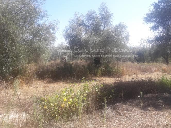 Building Plot in Melitieoi, Corfu — Photo 3 of 13