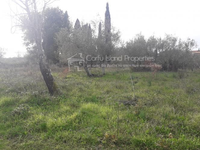 Οικόπεδο στην Παρέλι, Κέρκυρα — Φωτογραφία 16 από 30