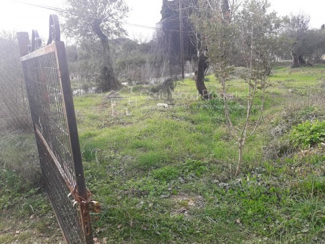 Οικόπεδο στην Παρέλι, Κέρκυρα — Φωτογραφία 8 από 30