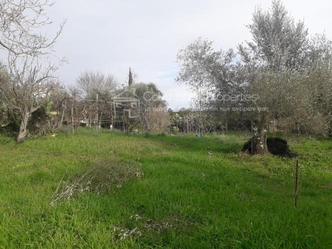 Οικόπεδο στην Παρέλι, Κέρκυρα — Φωτογραφία 3 από 30