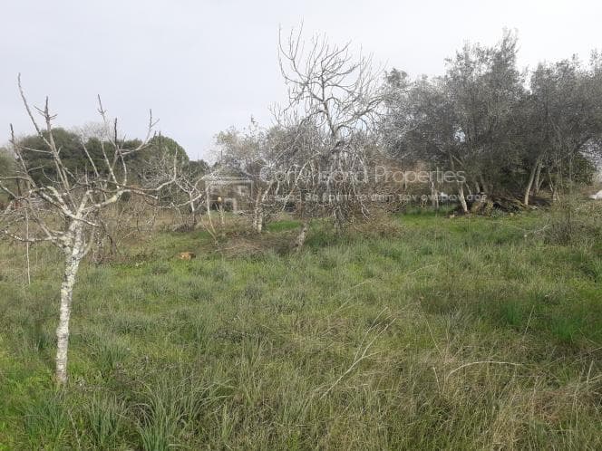 Οικόπεδο στην Παρέλι, Κέρκυρα — Φωτογραφία 17 από 30