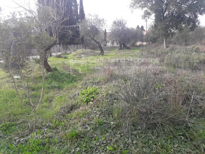 Οικόπεδο στην Παρέλι, Κέρκυρα — Φωτογραφία 13 από 30
