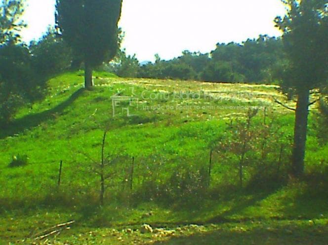 Building Plot in Pareli, Corfu — Photo 10 of 26